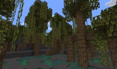 MCPE Beta 1.19.0.20 Overview