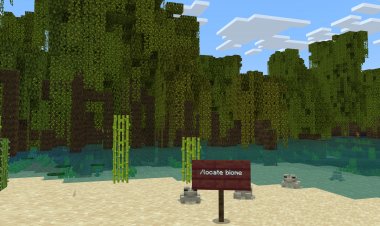 MCPE 1.19.10.23 /Locate Biome!