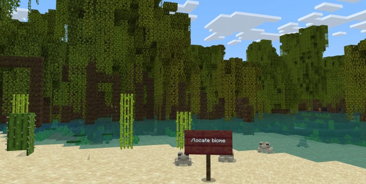 MCPE 1.19.10.23 /Locate Biome!