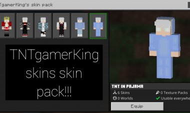 TNTgamerKing's skin pack