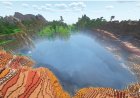 Love Lake Seed For Minecraft Bedrock 1.21!
