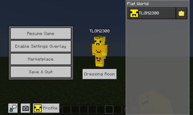 The Ty-el's Settings Overlay UI Pack for Minecraft Bedrock – A Must-Have UI Enhancement