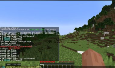 my minecraft server